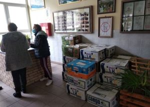 FOTO: Prehrambenih paketi za 31 porodice u Novom Travniku
