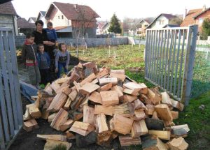 APEL: Donirajmo drva za grijanje porodicama u BiH